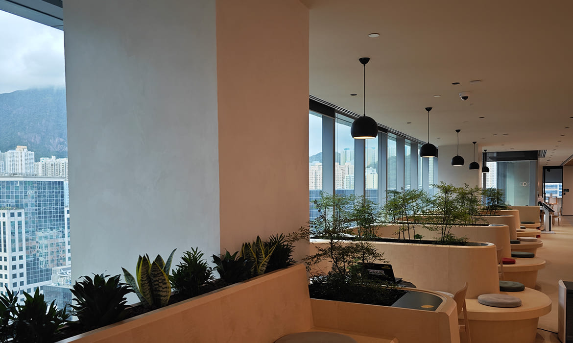 Graphenstone RICOH's Office