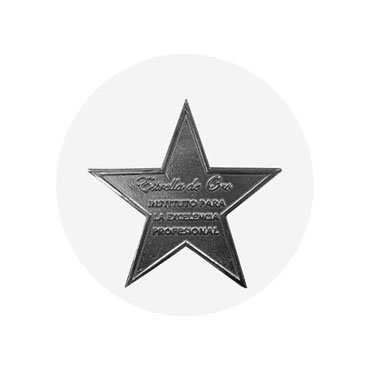 Premio Estrella de Oro a la excelencia profesional