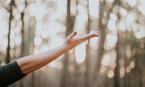 Graphenstone The Earth Collection. Sustainable high decoration