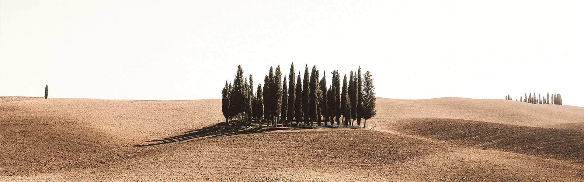 Graphenstone The Earth Collection. Sustainable high decoration