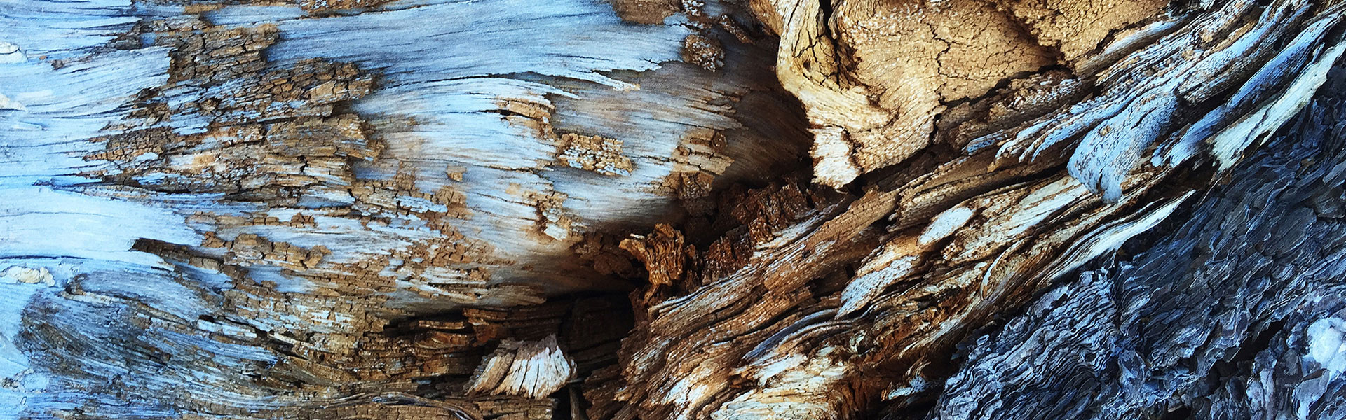 Graphenstone The Earth Collection. Sustainable high decoration