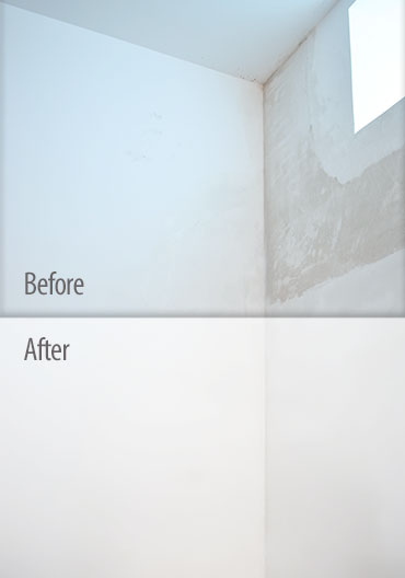 Antialgae primer for humid areas