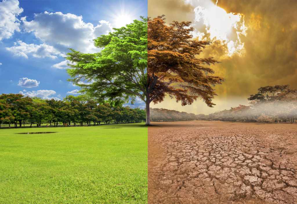 co2 co2e difference