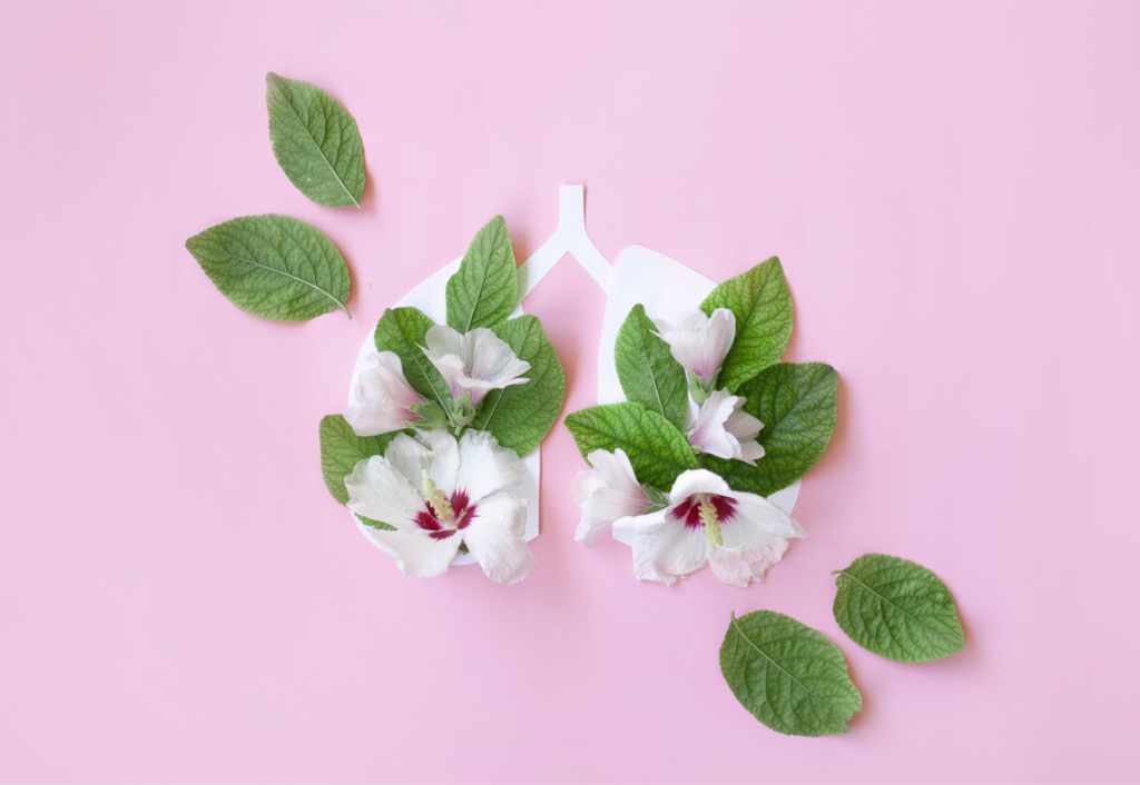 The impact of VOCs on your health