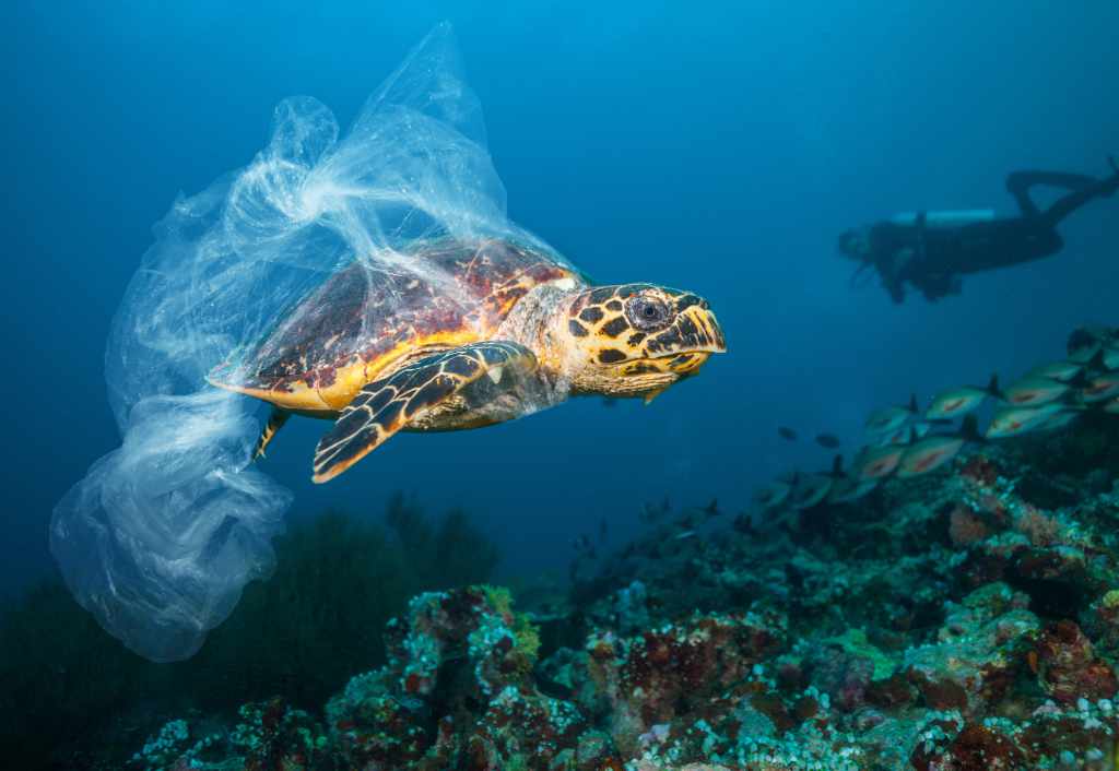 Plastic waste and ocean-bound microplastics