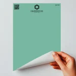 JAIPUR - Peel & Stick, Swatch