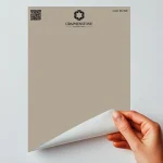 OLD BONE - Peel & Stick, Swatch