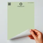 This neutral green was taken from the Map Room at Eltham Palace