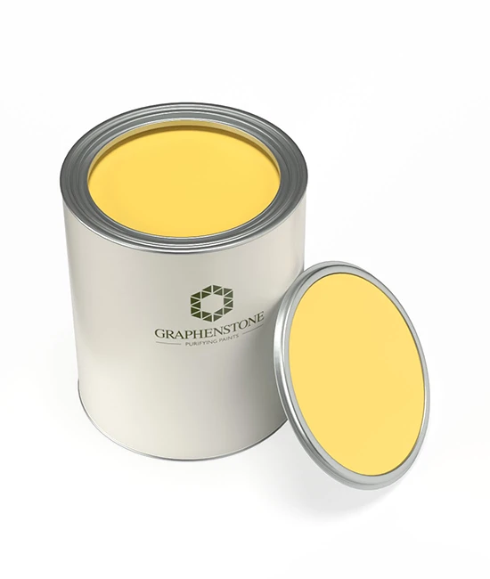 PARMESAN